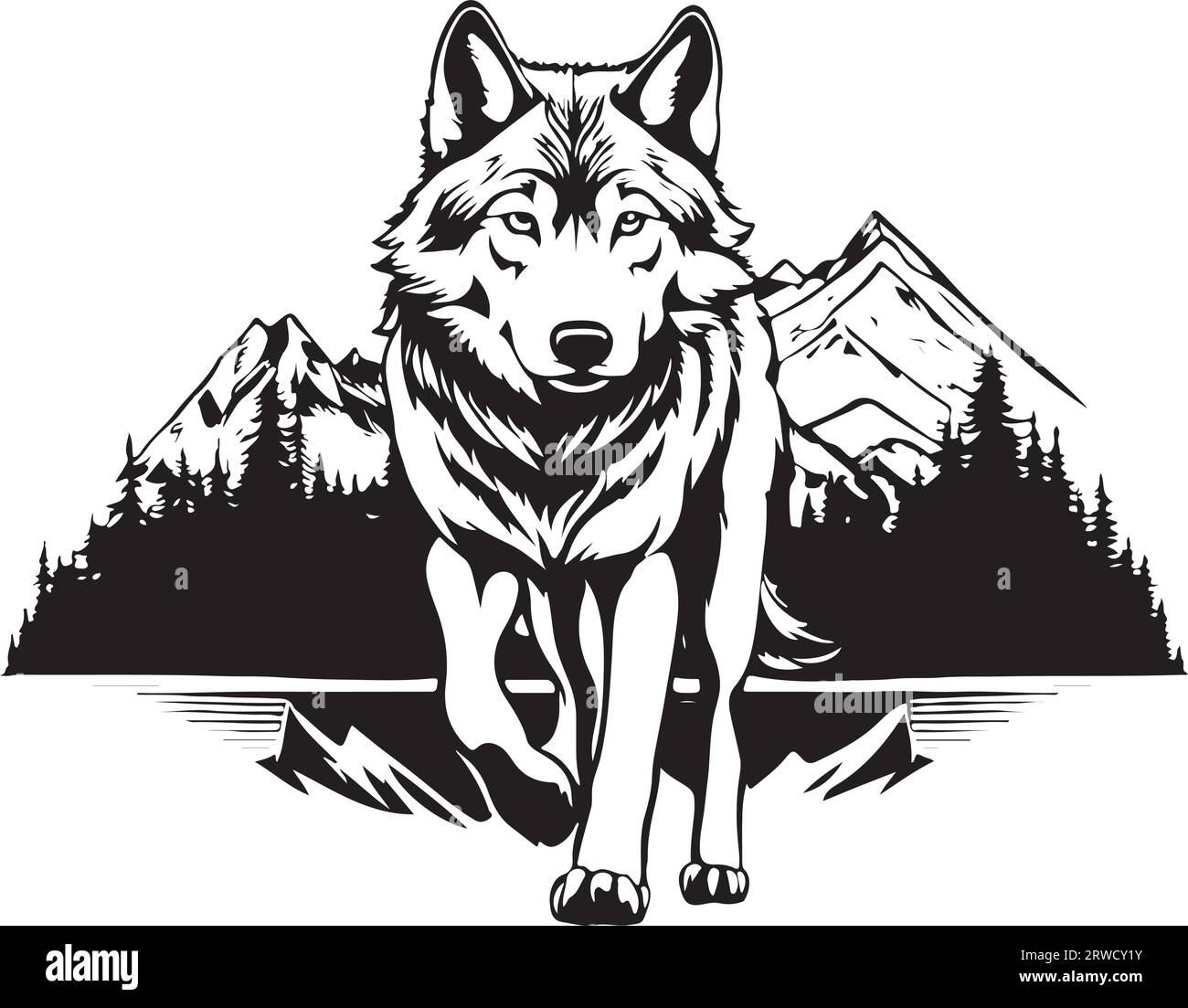 Coyote howl Black and White Stock Photos \u0026 Images - Alamy, image size:1300x1103