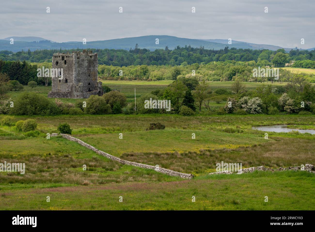 Threave castle ruins on the banks of the River Dee. Dumfries and Galloway Stock Photo