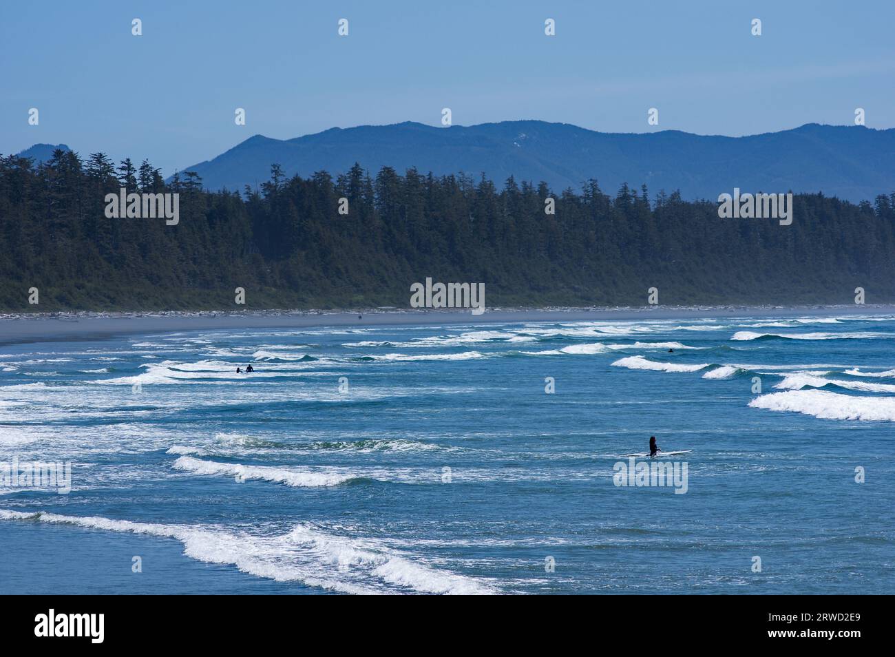 Tofino, BC, Canada - May 2 2023: Silhouetted surfers in wavy water at Long Beach Stock Photo