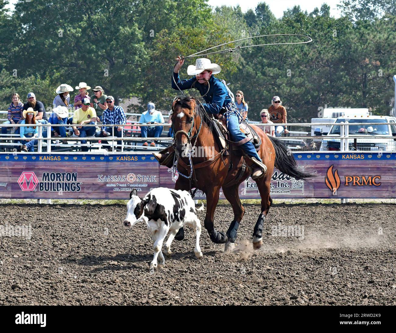 Emporia, KS, USA. 17th Sep, 2023. During the calfroping event Stone
