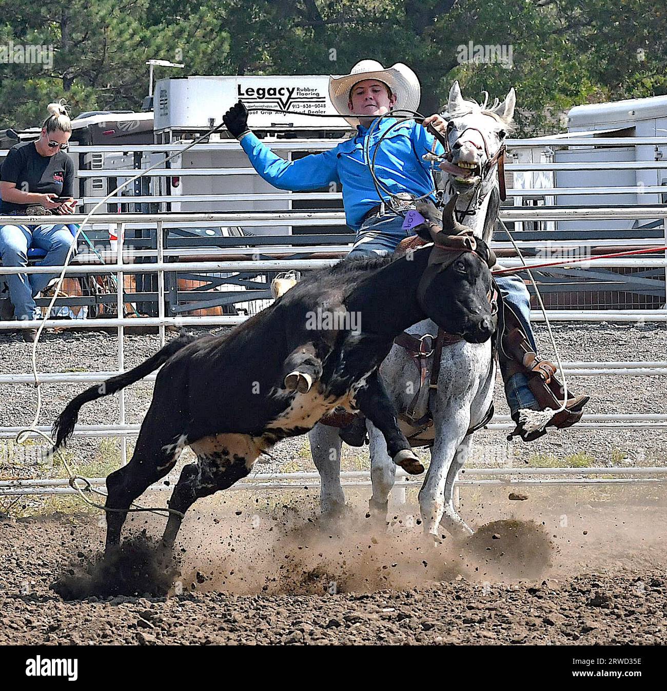Emporia, KS, USA. 17th Sep, 2023. During the team roping event Kutler Barnett of Oakley and Keaton Ryan of Canton cooperate to place the lassoes around the head and rear legs of the calf in Emporia, Kansas on September 17, 2023. Credit: Mark Reinstein/Media Punch/Alamy Live News Stock Photo