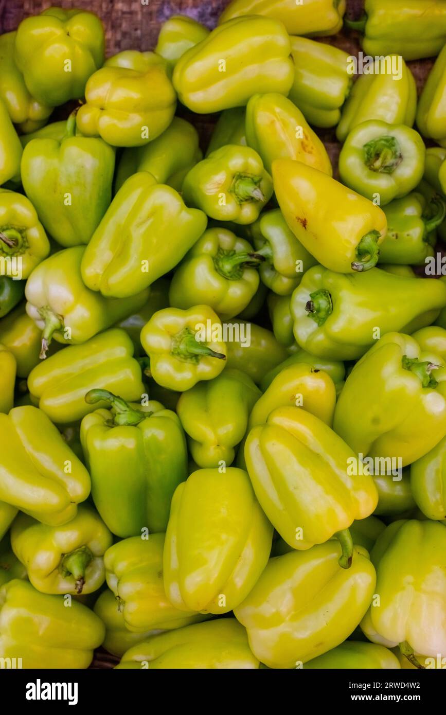 Colorful green , red and yellow peppers paprika background Stock Photo ...