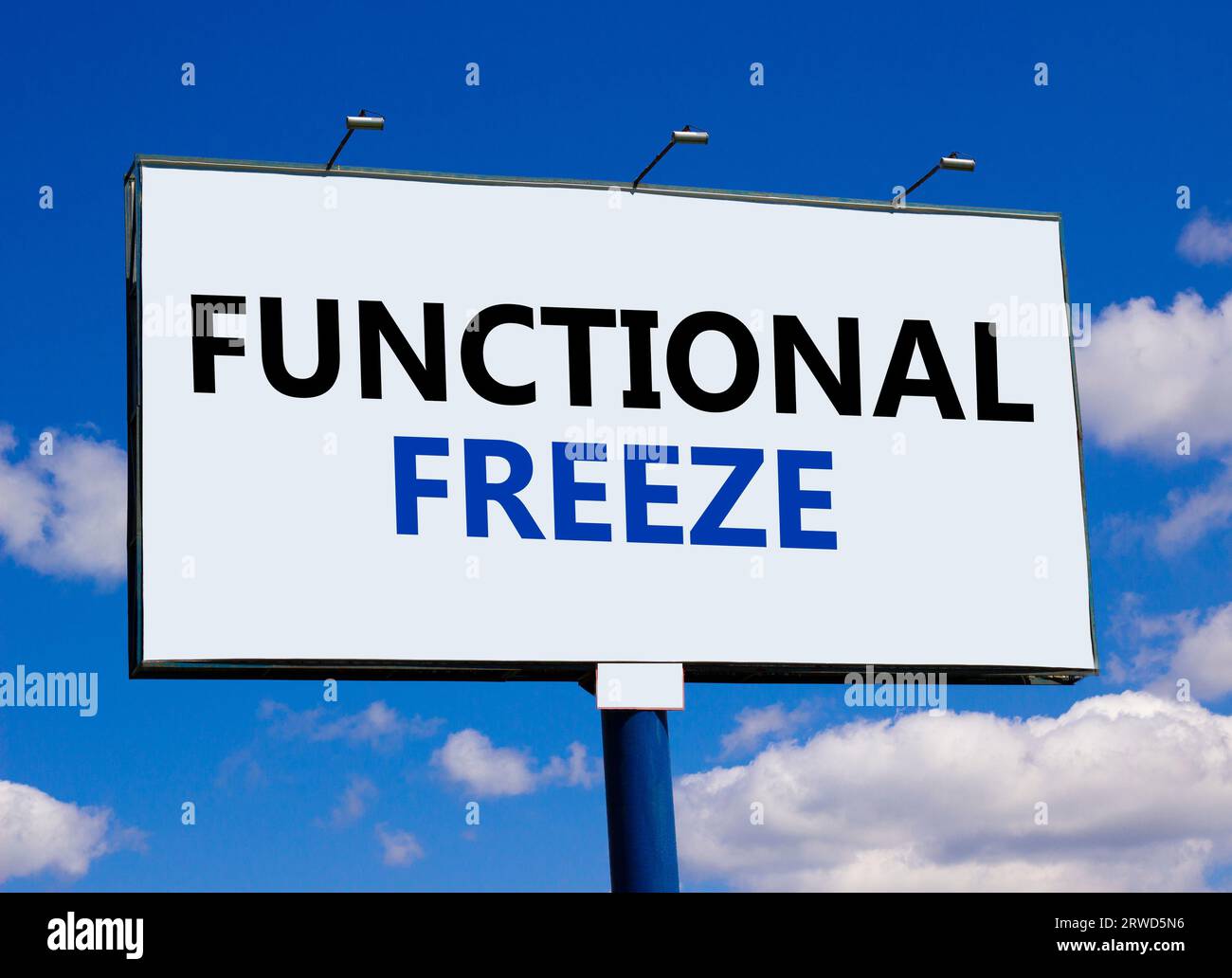 Functional freeze symbol. Concept words Functional freeze on beautiful big white billboard. Beautiful blue sky cloud background. Business psychology f Stock Photo