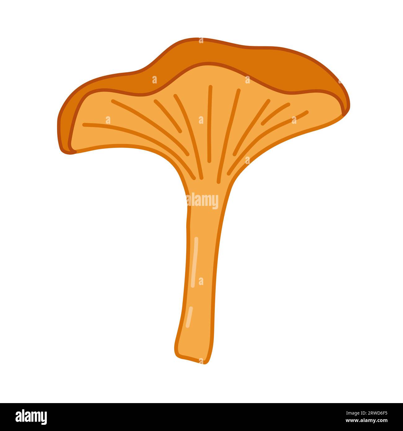 Chanterelle mushroom on white background, icon with outline, cartoon style vector illustration Stock Vector