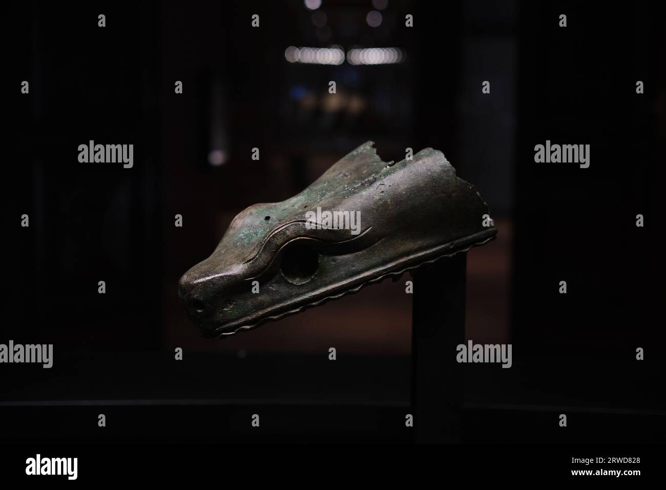 Istanbul, Turkey September 16 2023 Bronze snake head from the