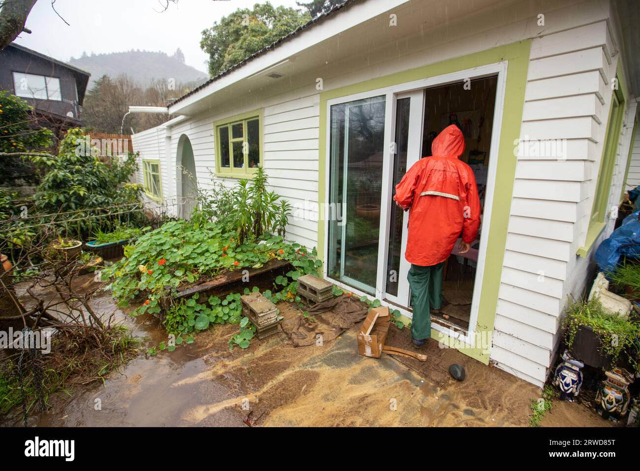 Picture by Tim Cuff - 18 August 2022 - Floods in Nelson Day 2. A resident of Nile Street checks their property that backs onto the Maitai River, Nelso Stock Photo