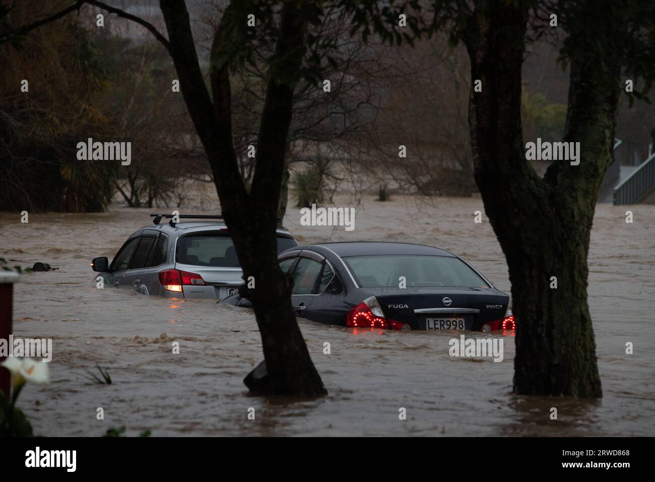 Picture by Tim Cuff - 17 August 2022 - Floods in Nelson after a State ...