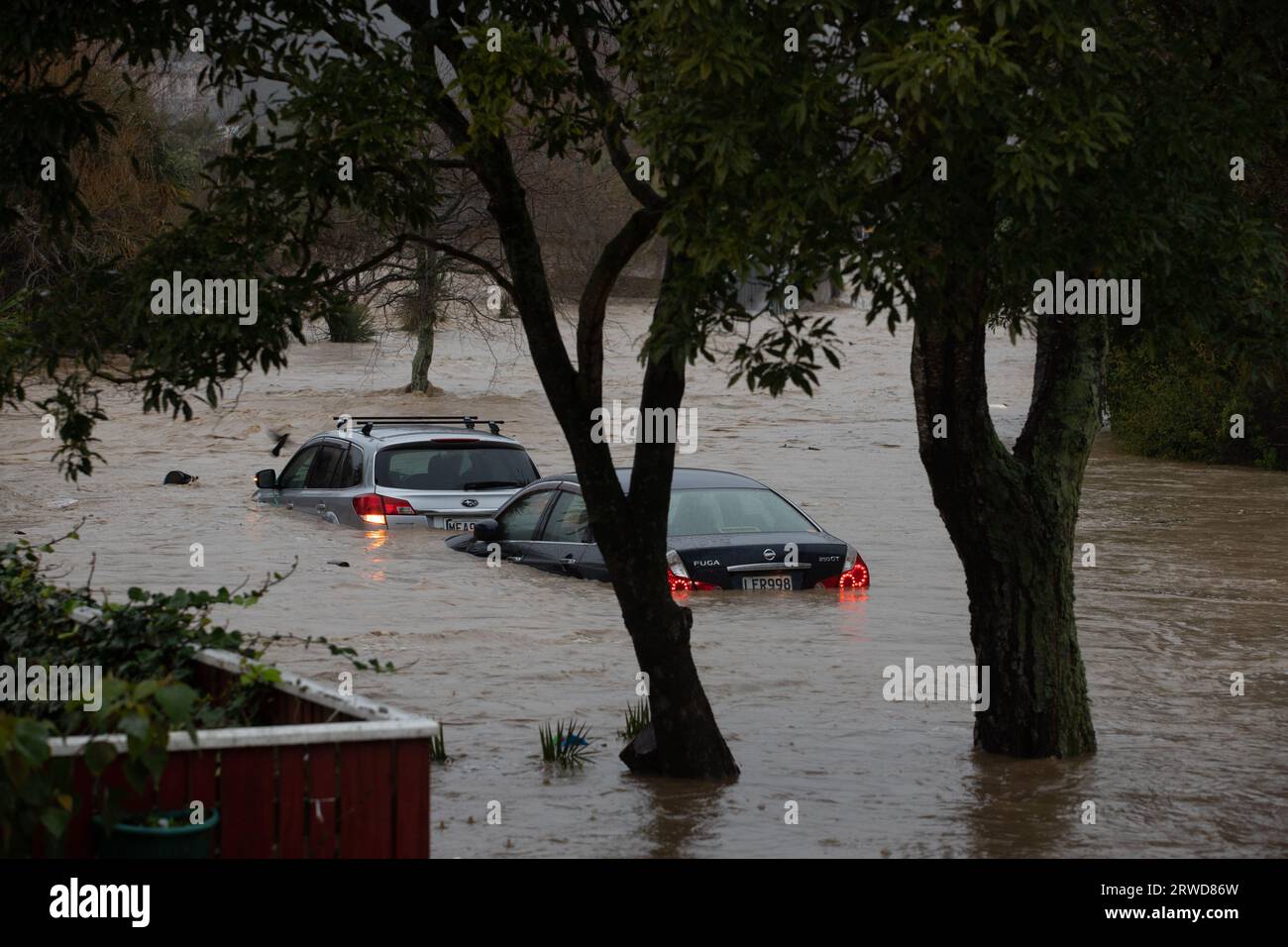 Picture by Tim Cuff - 17 August 2022 - Floods in Nelson after a State ...