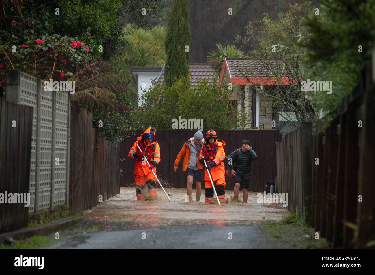 Picture by Tim Cuff - 17 August 2022 - Floods in Nelson after a State ...