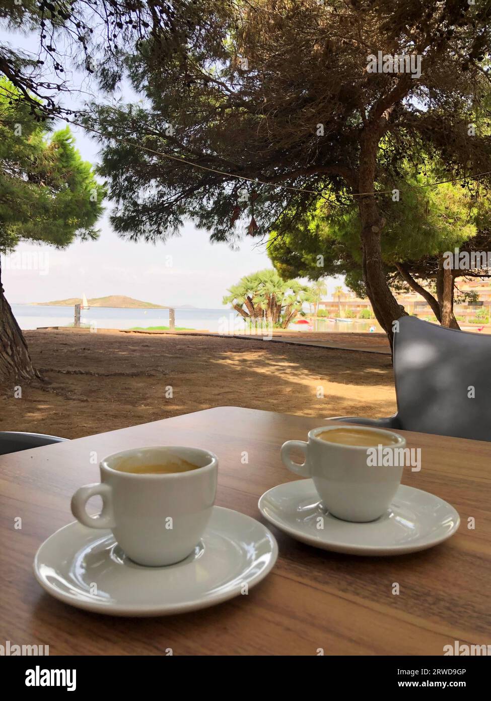 Two cups of coffee on table between pine trees with Seaview Stock Photo -  Alamy