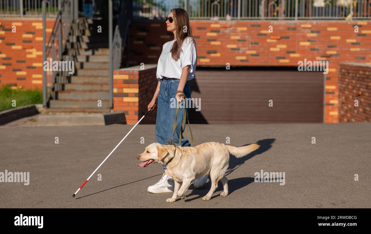 Blind woman walking with guide dog Stock Photo - Alamy