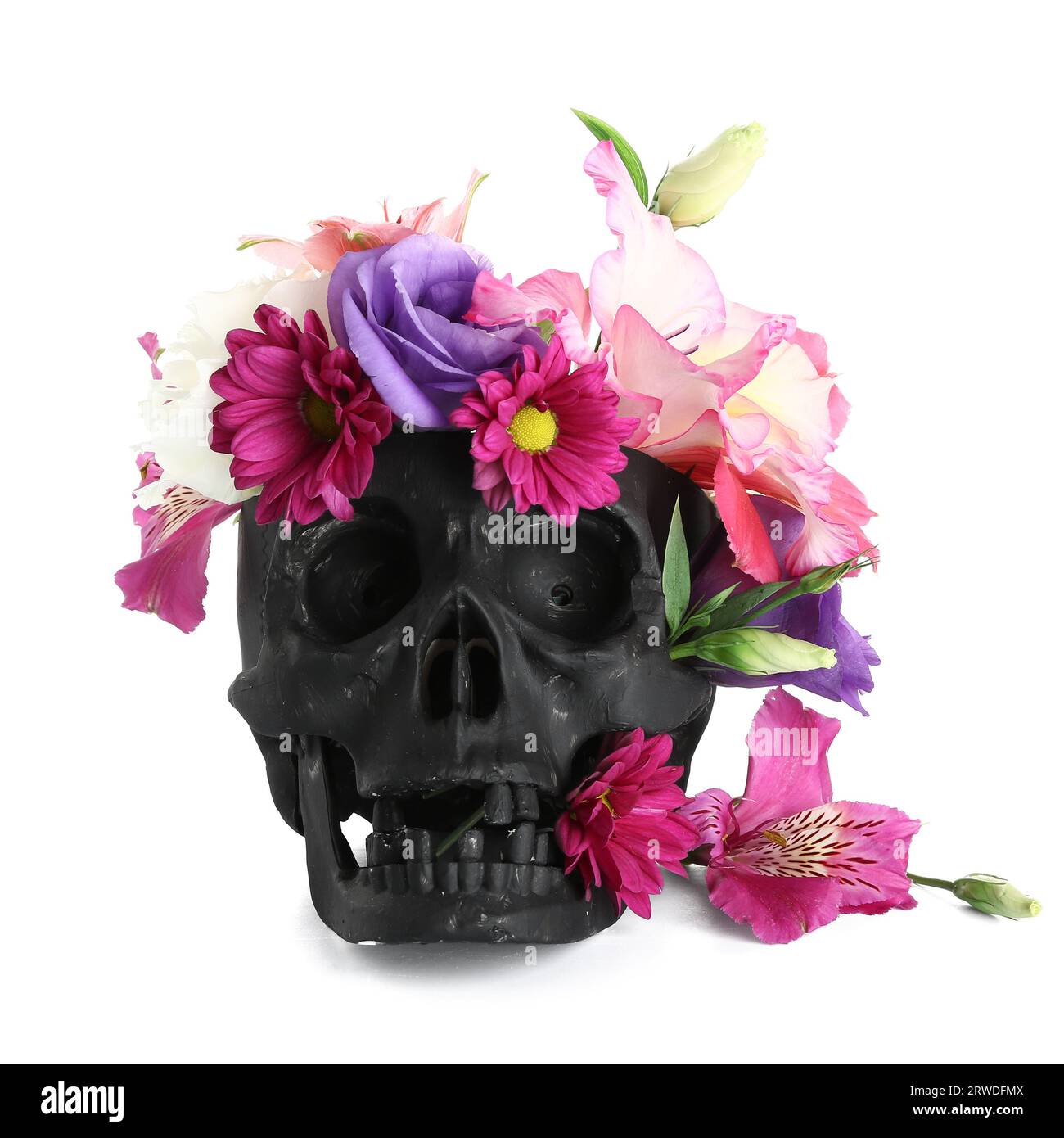 Skull with floral Cut Out Stock Images & Pictures - Page 3 - Alamy