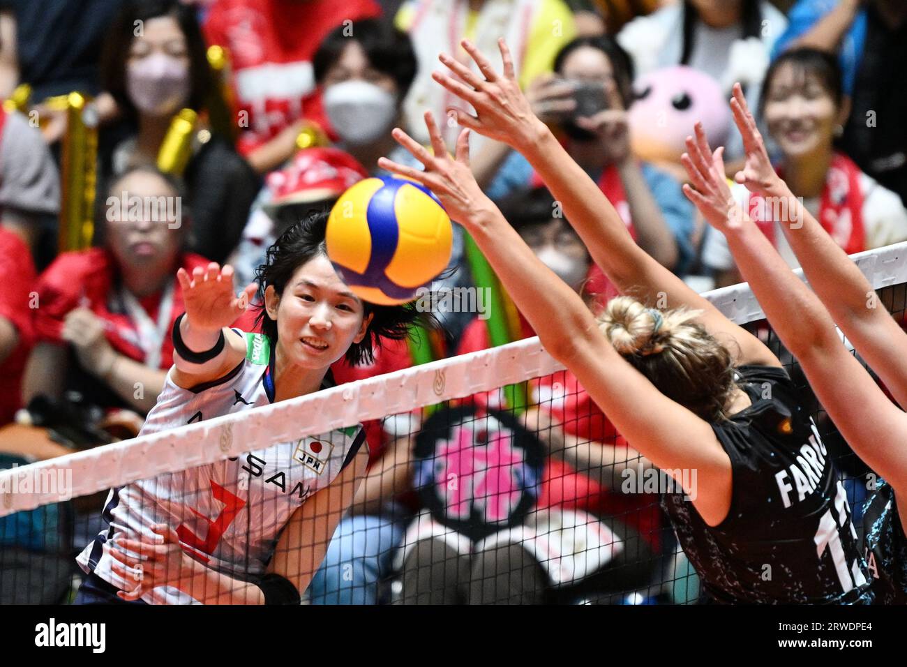 Volleyball world cup 2023 hi-res stock photography and images - Page 4