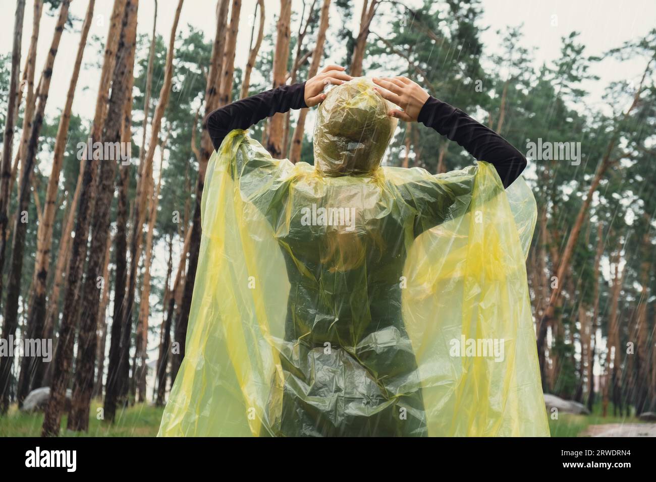 Back view on carefree woman in yellow raincoat walking in autumn forest ...