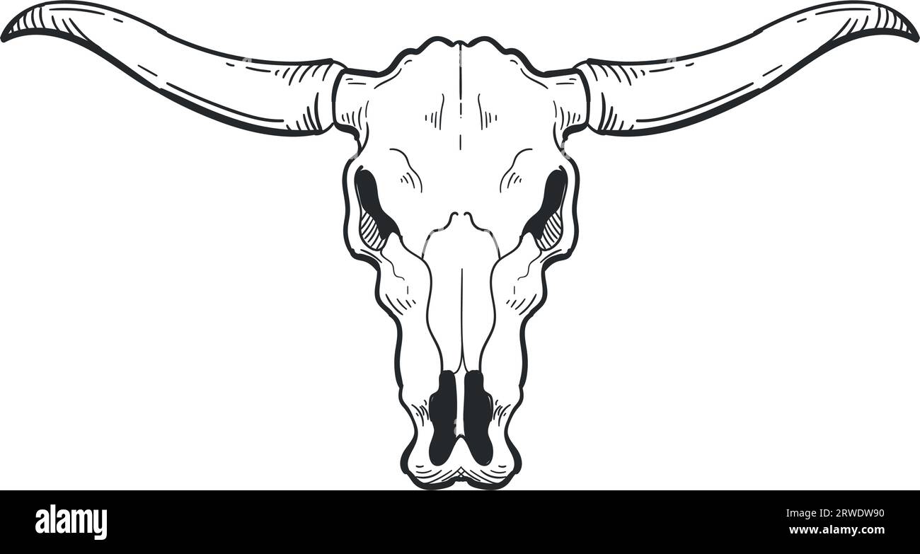 Steer Skull Clip Art