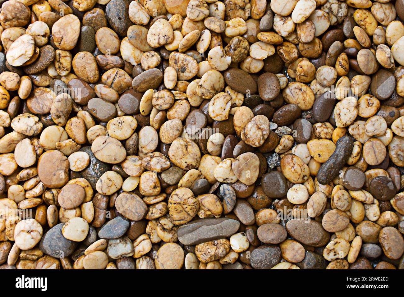 Stone background wallpaper. Wet stone. Stone texture. small stone background Stock Photo