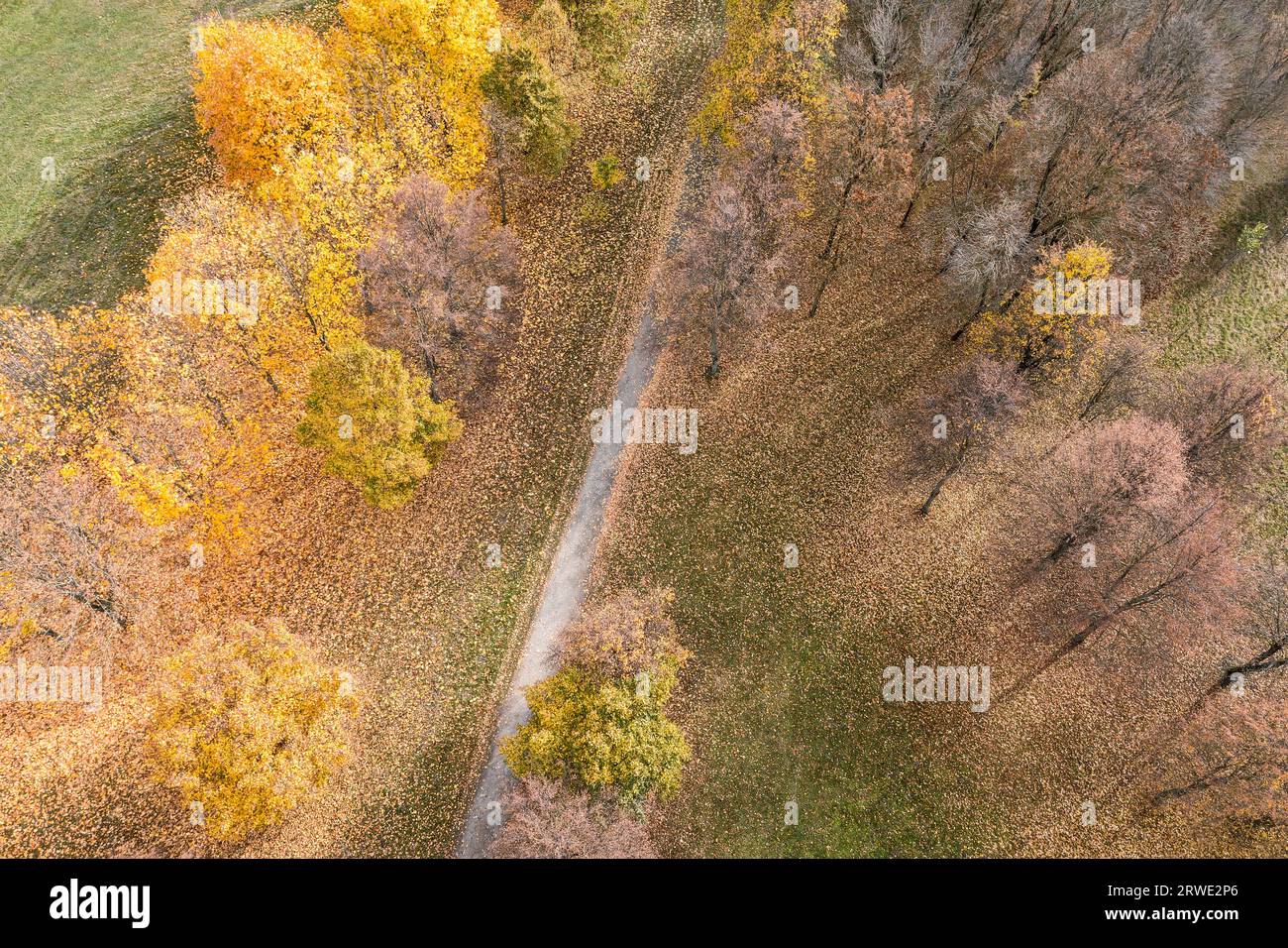straight footpath in autumn park among colorful trees. aerial view from flying drone. Stock Photo