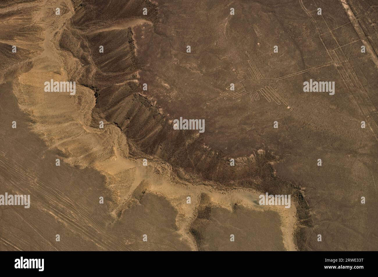 Aerial View of The Hummingbird Geoglyph at the Nazca Lines in Peru Stock Photo