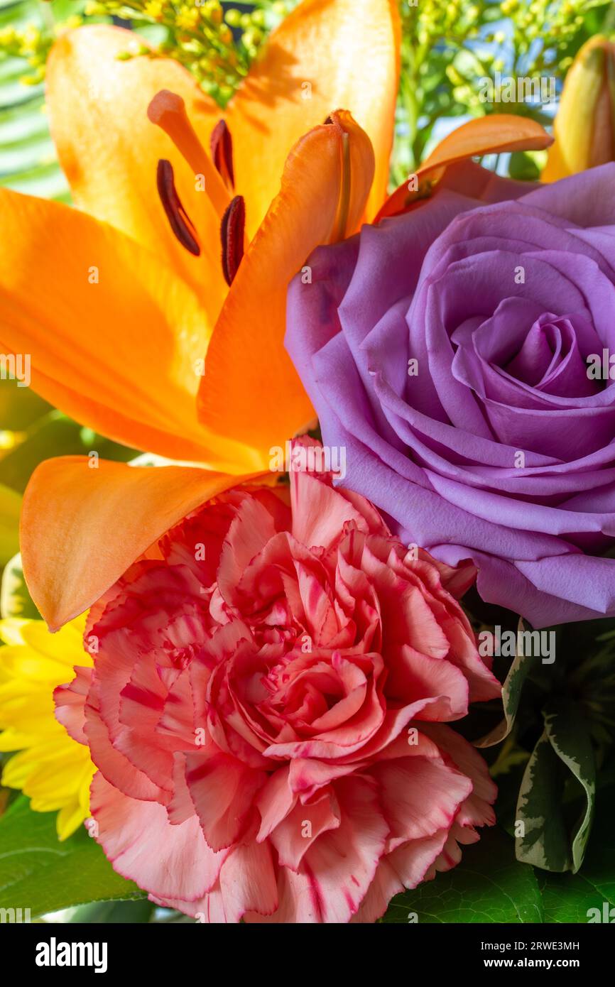 Macro texture background of fresh bright flowers in an indoor florist arrangement, featuring a rose, carnation, lily, and chrysanthemum Stock Photo