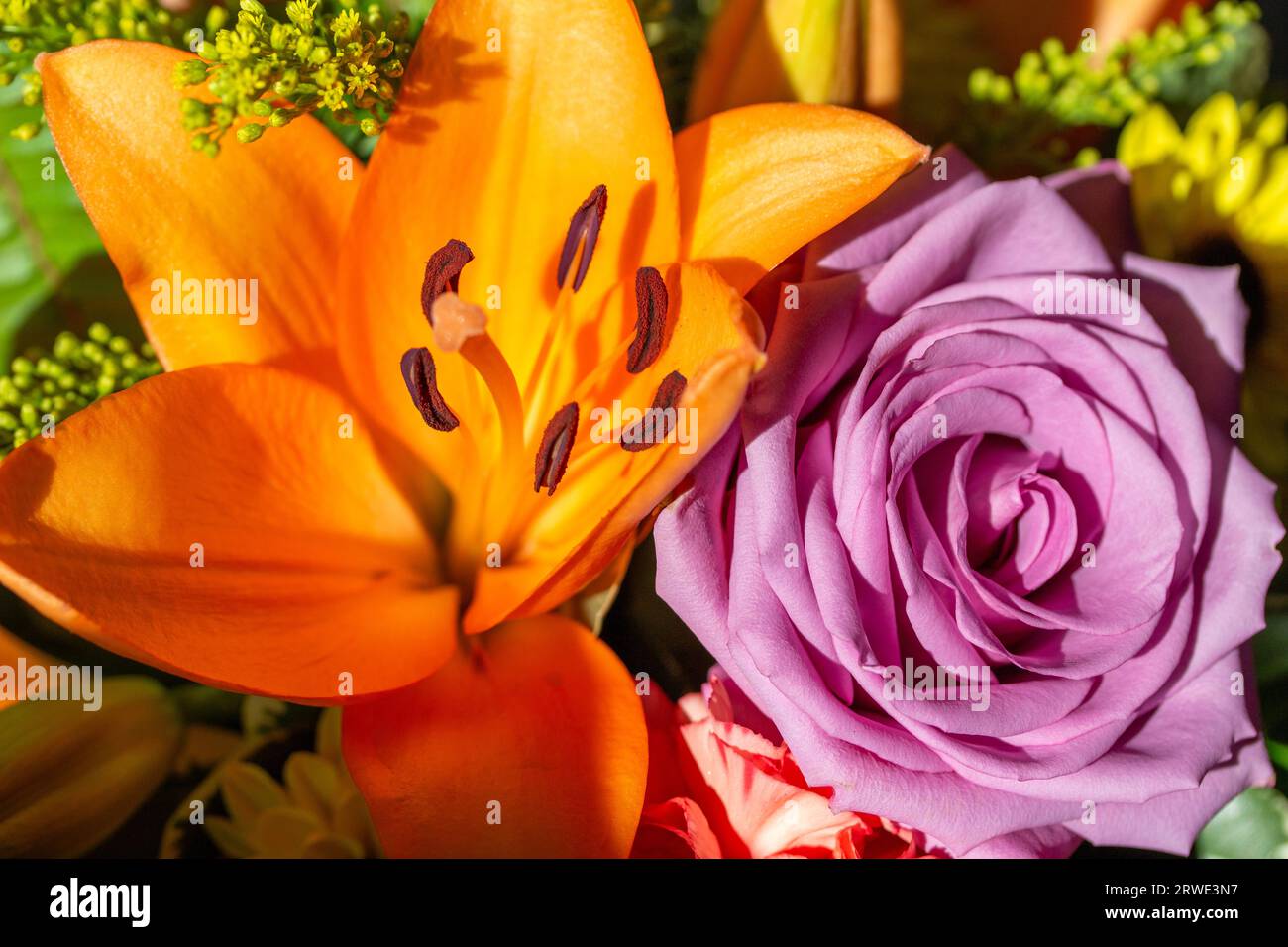 Macro texture background of fresh bright flowers in an indoor florist arrangement, featuring an orange lily Stock Photo
