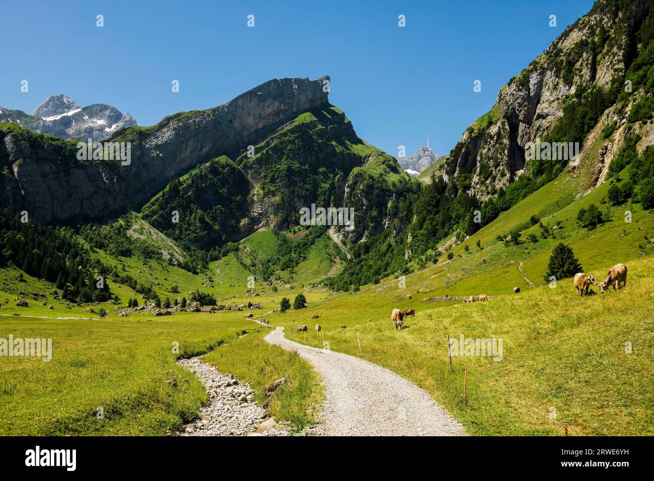 Steep mountains and hiking trail, Seealpsee, Wasserauen, Alpstein, Appenzell Alps, Canton Appenzell Innerrhoden, Switzerland Stock Photo