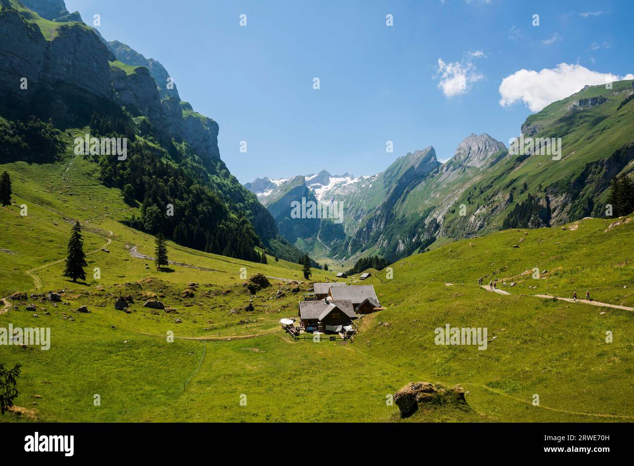 Steep mountains and alpine pasture, Seealpsee, Wasserauen, Alpstein, Appenzell Alps, Canton Appenzell Innerrhoden, Switzerland Stock Photo