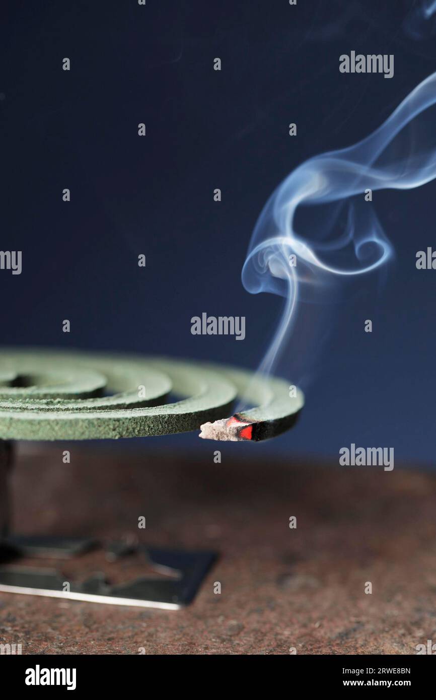 Mosquito coil insect repellent burning and smoking Stock Photo Alamy