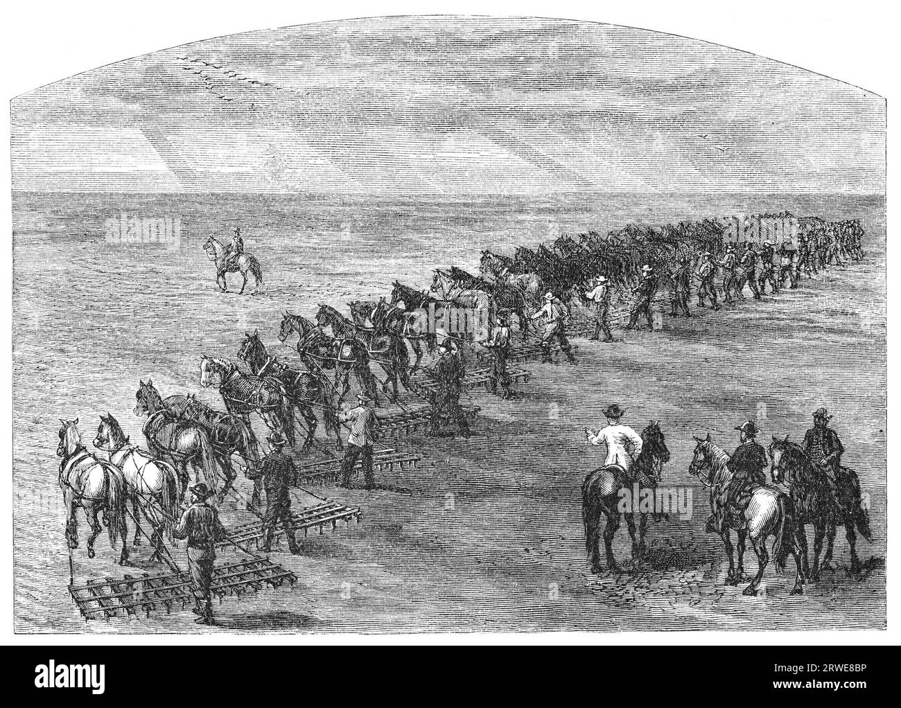 Agriculture in Dakota, USA: Harrowing. Image source: Harpers Monthly magazine march 1880 Stock Photo
