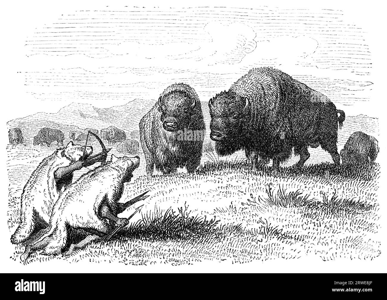 Native american buffalo hunters dressed as coyotes. Engraving by unknown artist from Ernst von Hesse-Warteggs Nord Amerika, swedish edition published Stock Photo