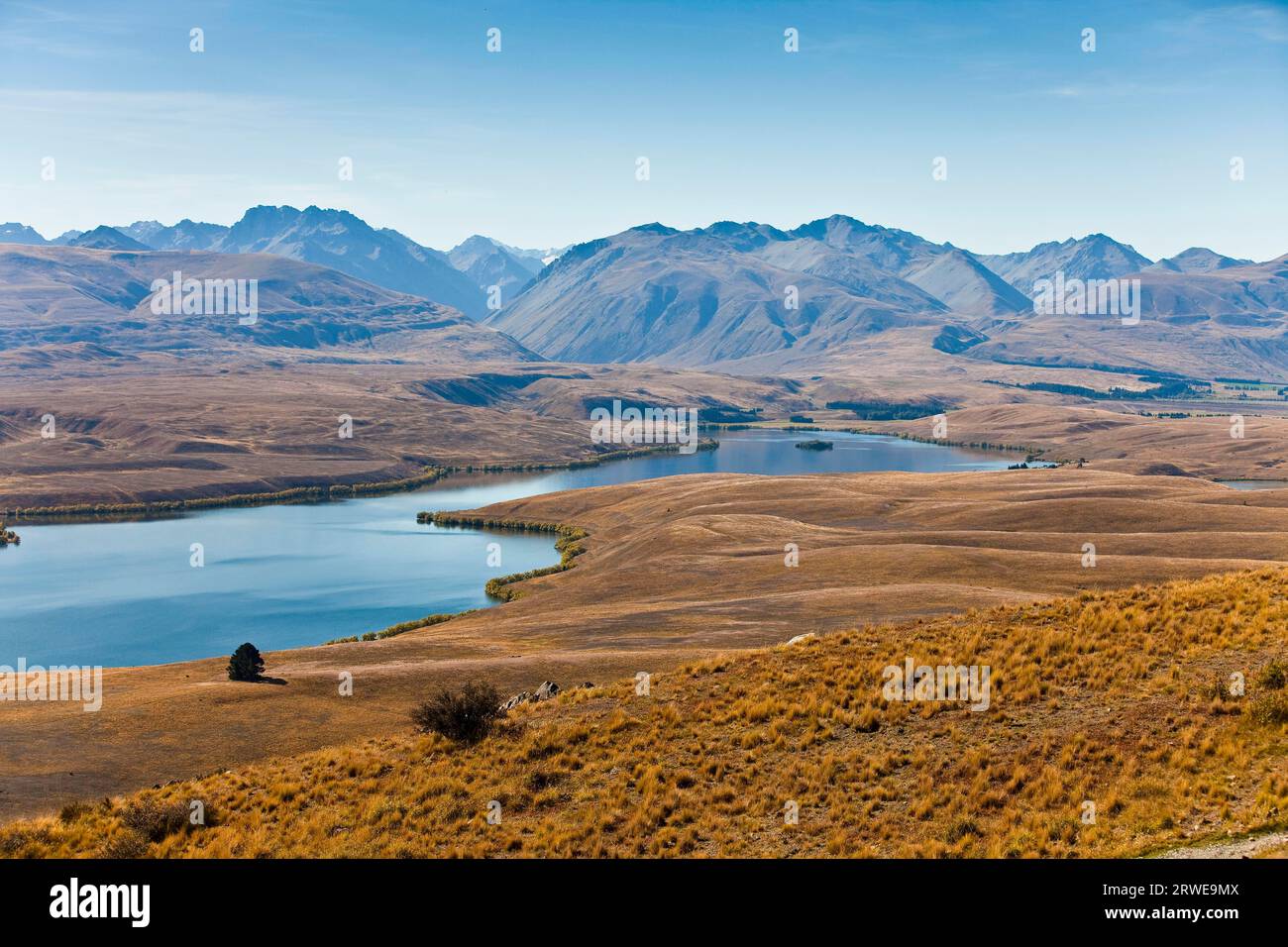 Mackenzie Country New Zealand South Island Stock Photo Alamy