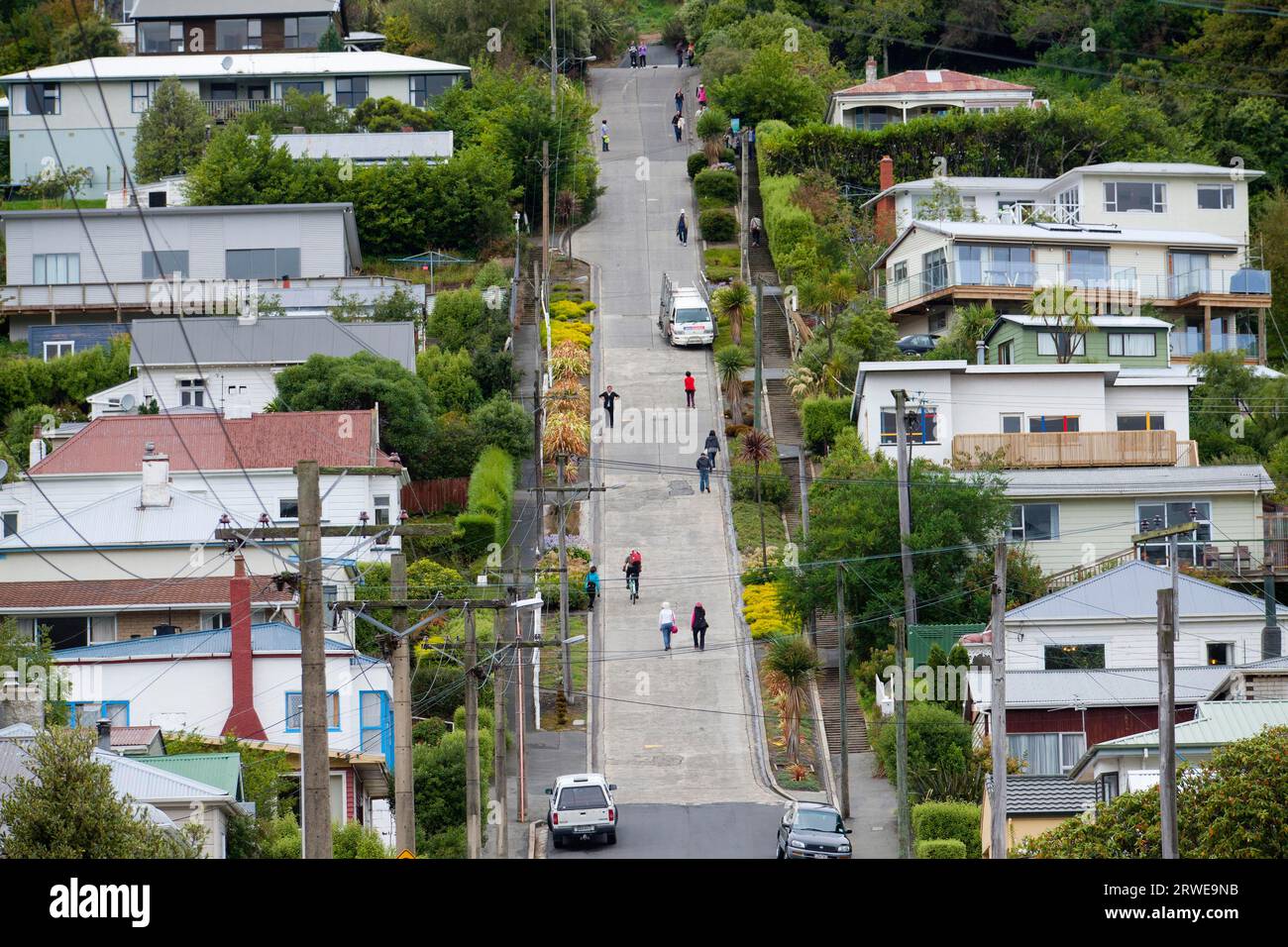 Baldwin Street, the steepest street in the world, in Dunedin, New Zealand Stock Photo