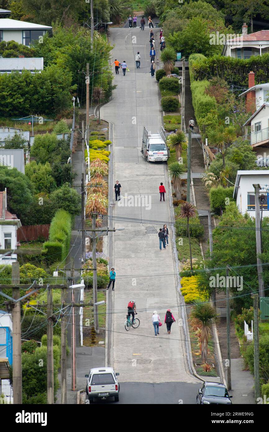Baldwin Street, the steepest street in the world, in Dunedin, New Zealand Stock Photo