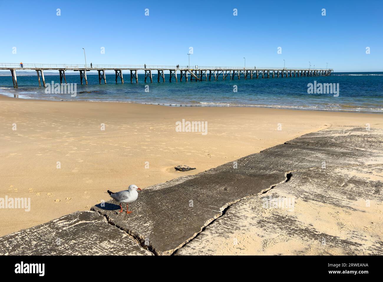 Classic wooden Port Noarlunga Jetty stretches out into the ocean in Adelaide, South Australia Stock Photo