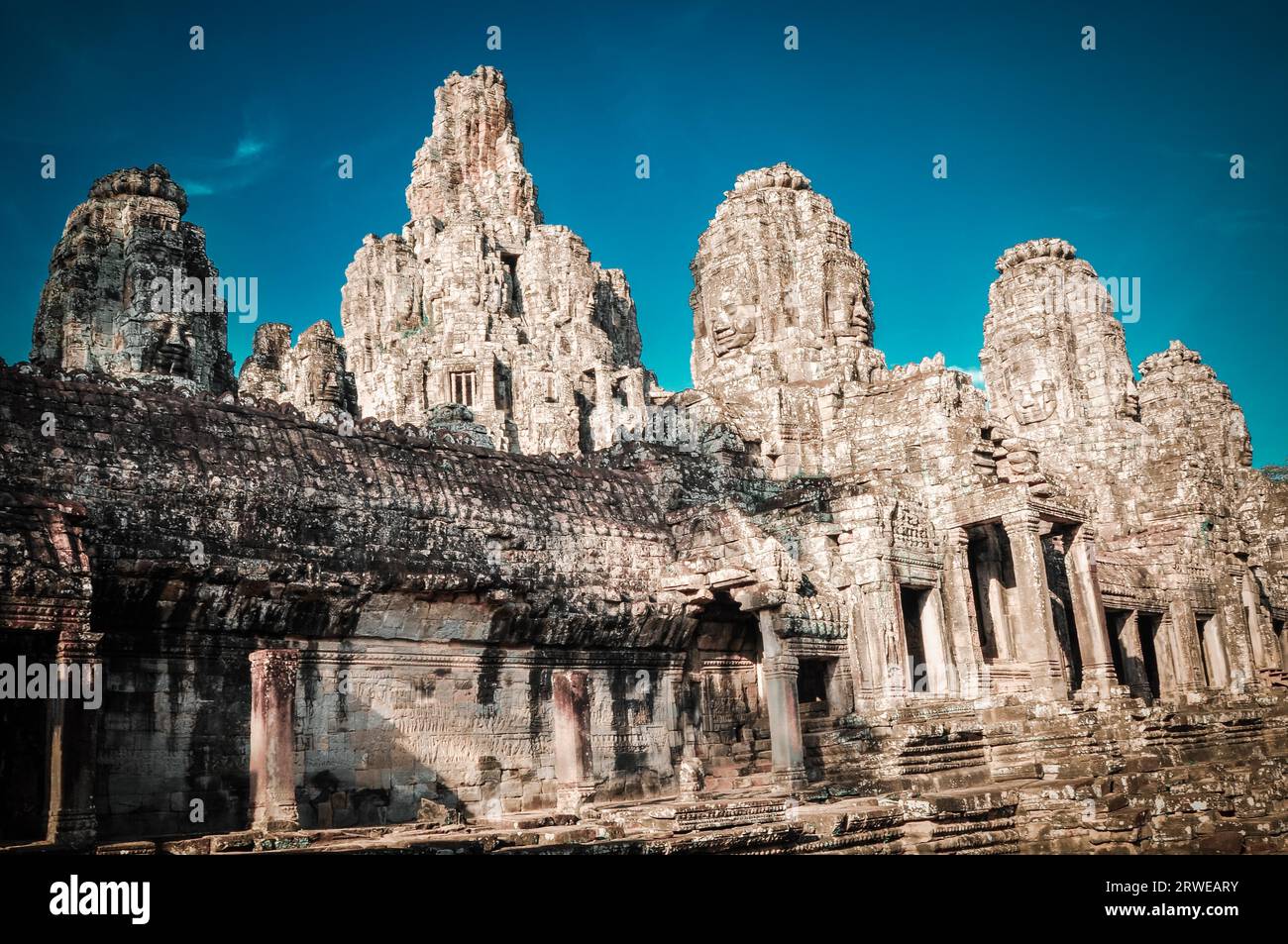 Giant tree covering Ta Prom and Angkor Wat temple, Siem Reap, Cambodia Asia Stock Photo