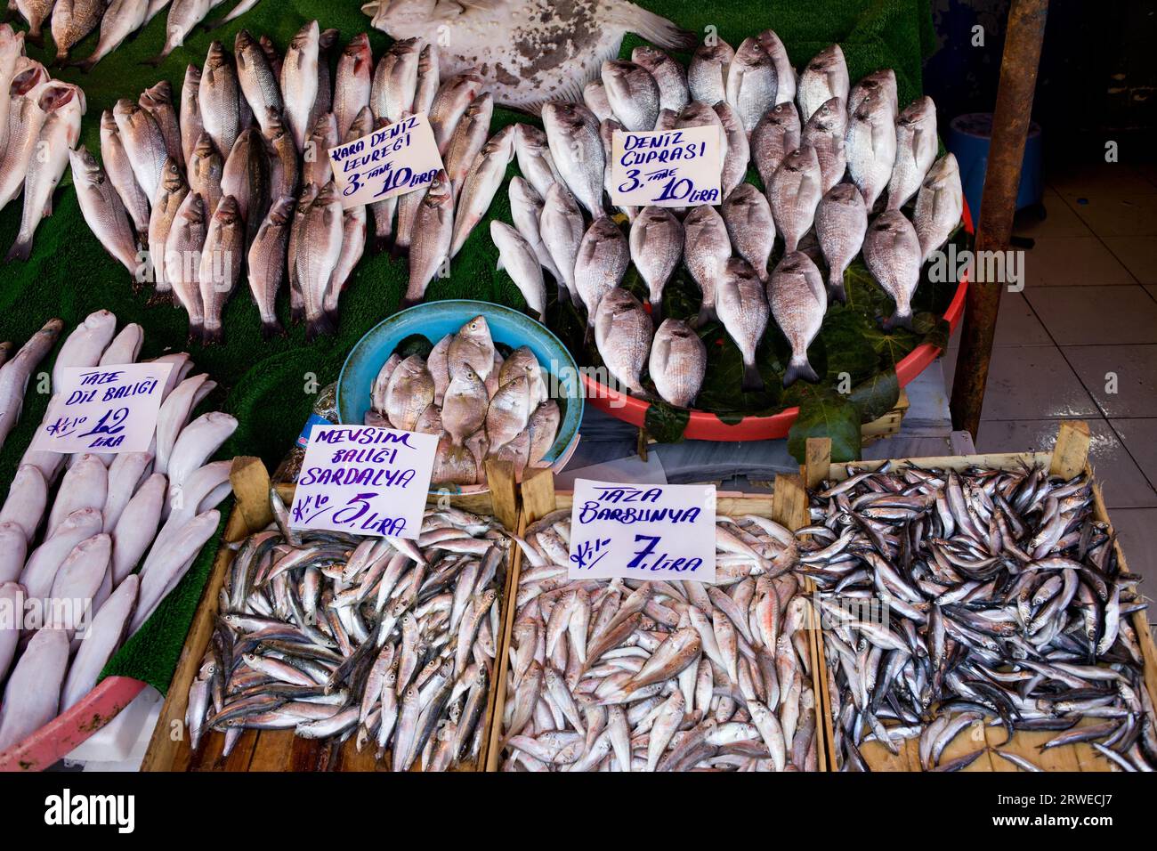 Fish market stall in Istanbul, Turkey with fresh sea basses, sardines, flounders, mullets, price tags and names in Turkish Stock Photo