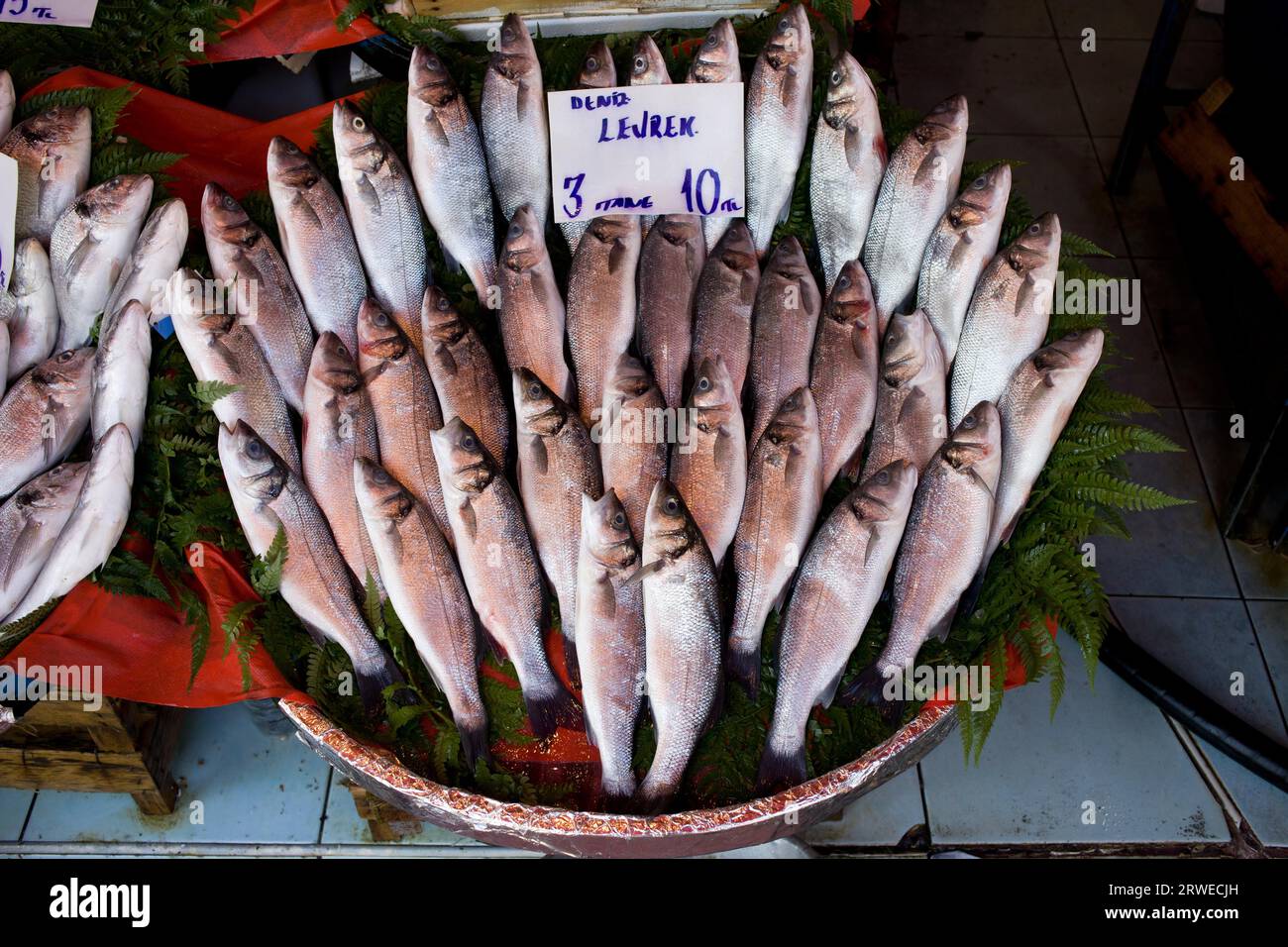 Fish market stall in Istanbul, Turkey with fresh sea bass fishes, price tag in Turkish Stock Photo