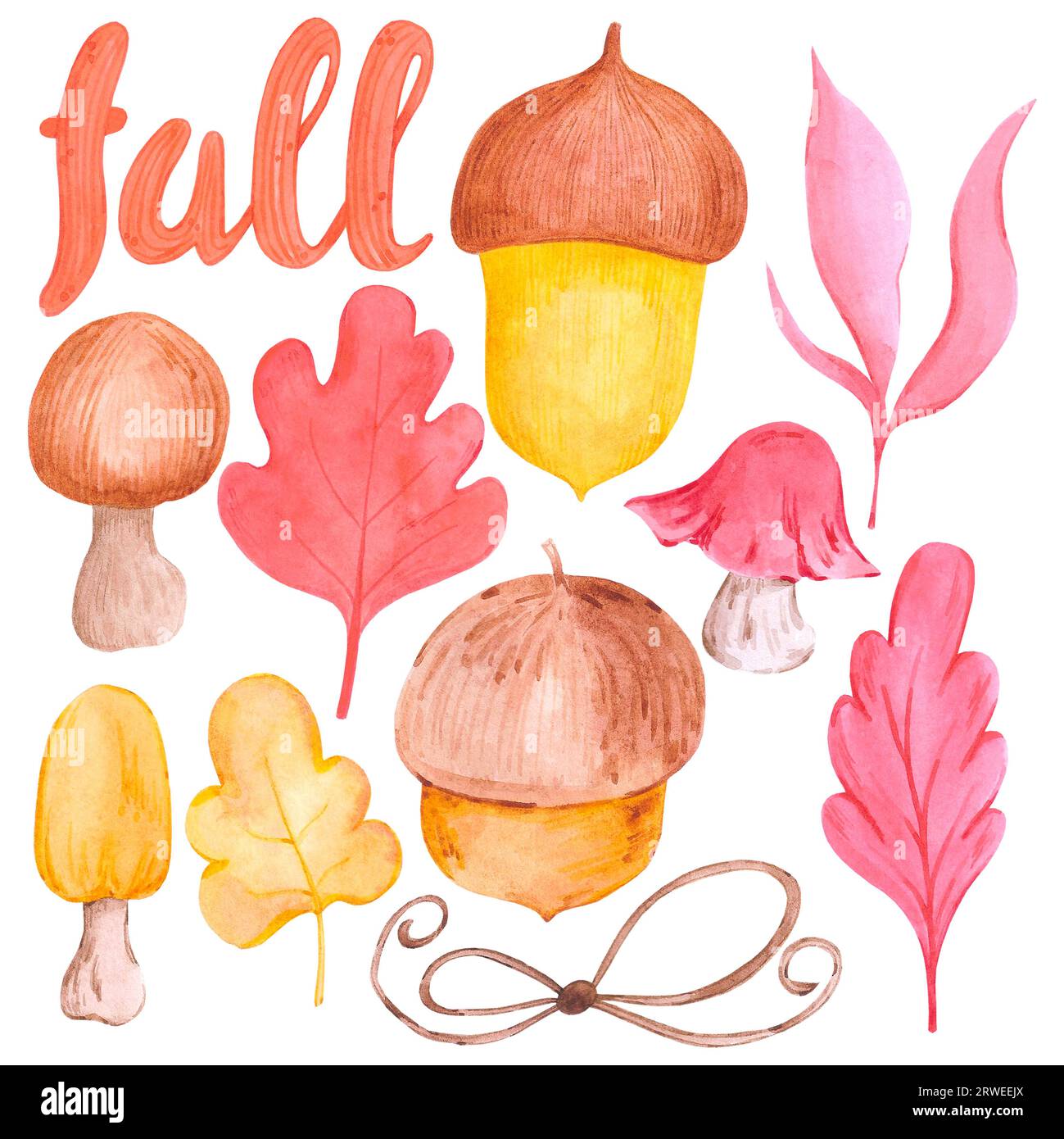 Hand drawn watercolor autumn leaves mushrooms illustration isolated on ...