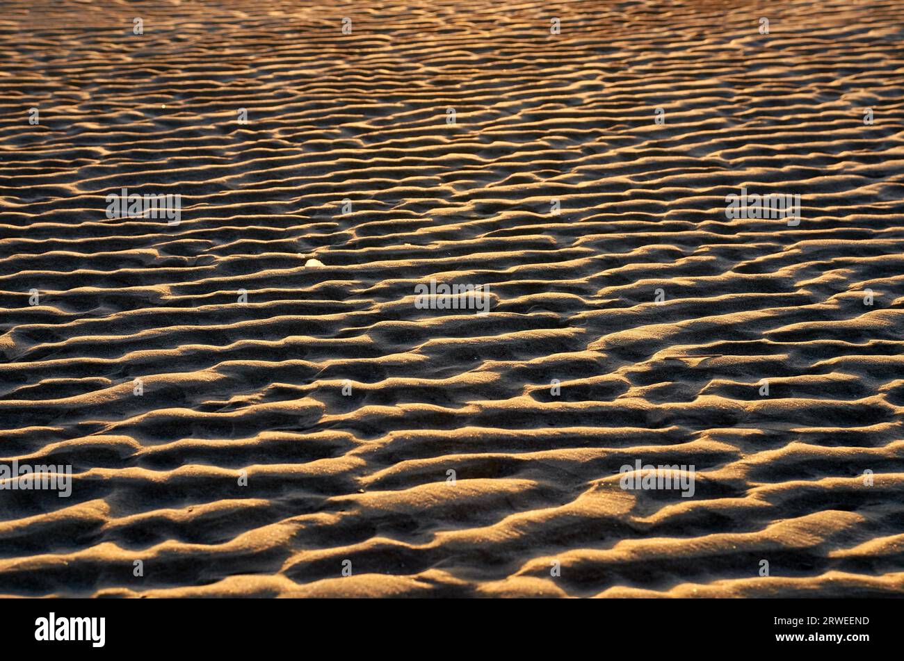 Ripples of sand on beach of northsea Stock Photo - Alamy