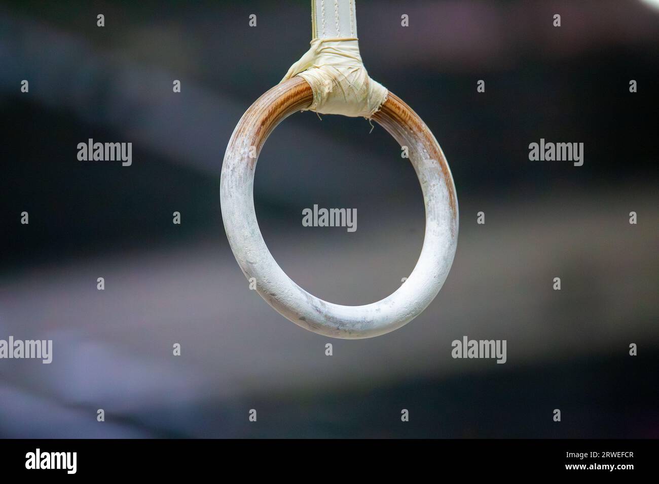 Symbol image of apparatus gymnastics: Close-up of a ring, sports equipment in mens apparatus gymnastics Stock Photo