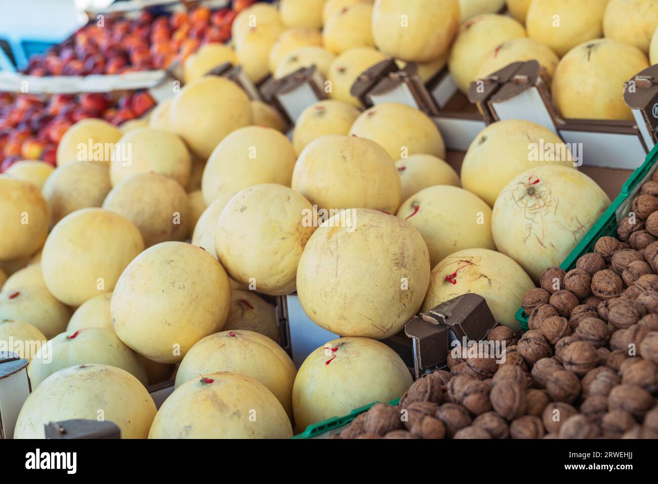 Cantaloupe melon on food market in Padova Italy Stock Photo