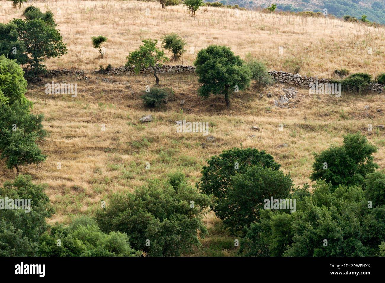 Landscape in the Trexenta in Sardinia Stock Photo
