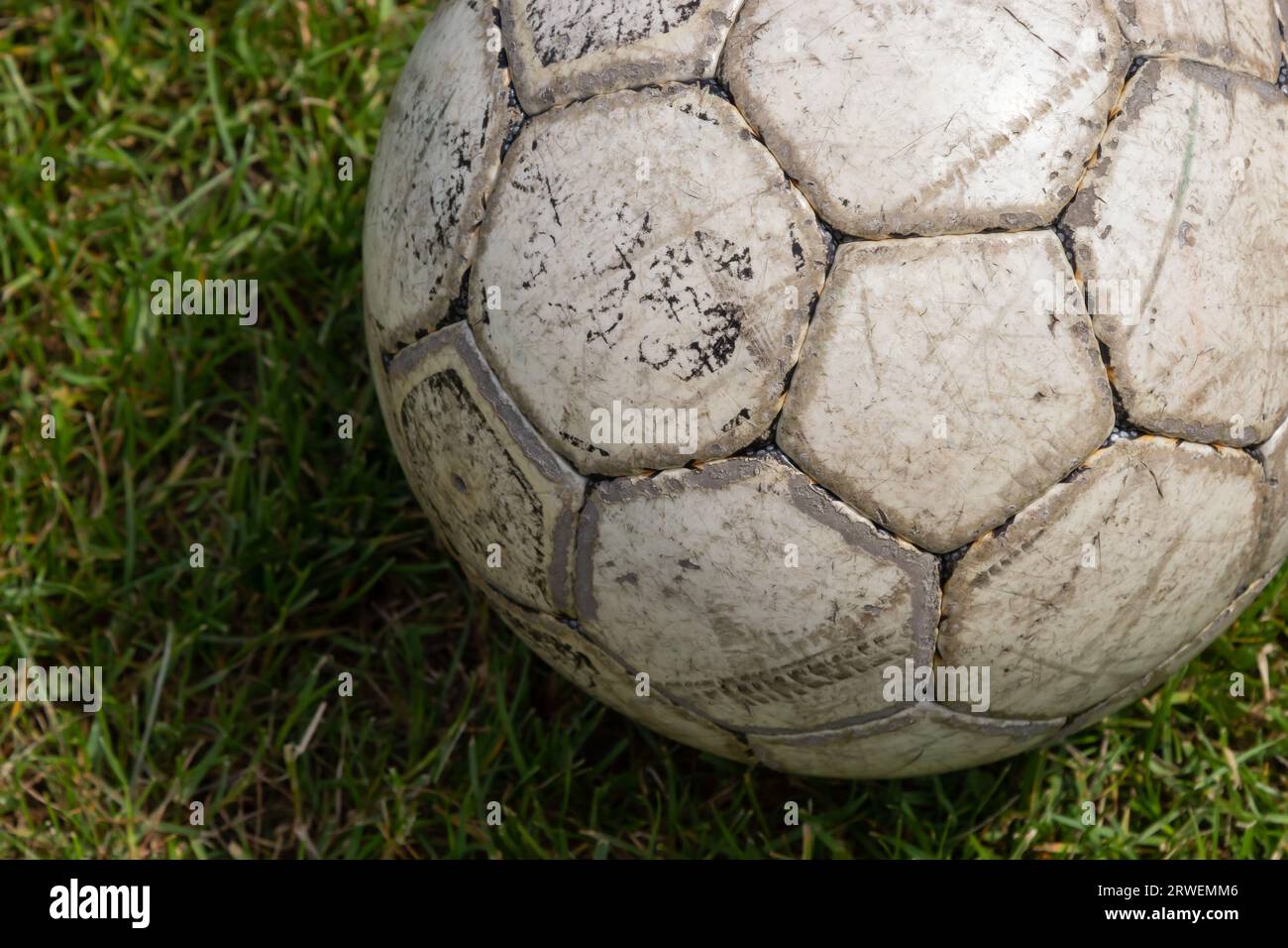 Soccer ball on green grass of football field with copy space. Stock Photo