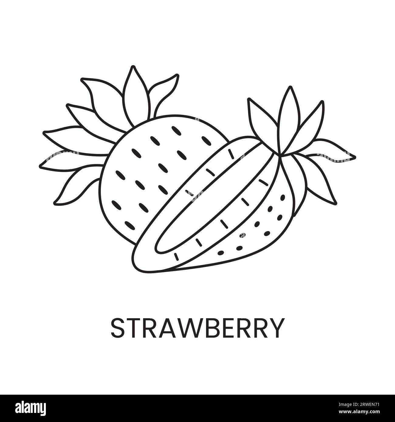 Strawberry in half Black and White Stock Photos & Images - Alamy