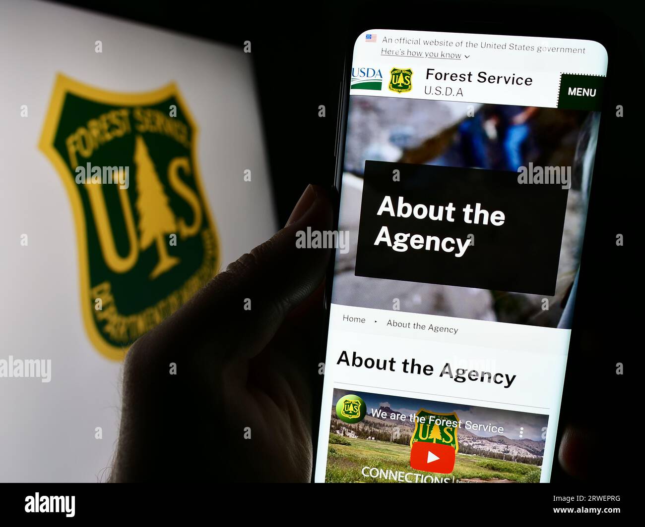 Person holding cellphone with website of United States Forest Service (USFS) on screen in front of logo. Focus on center of phone display. Stock Photo
