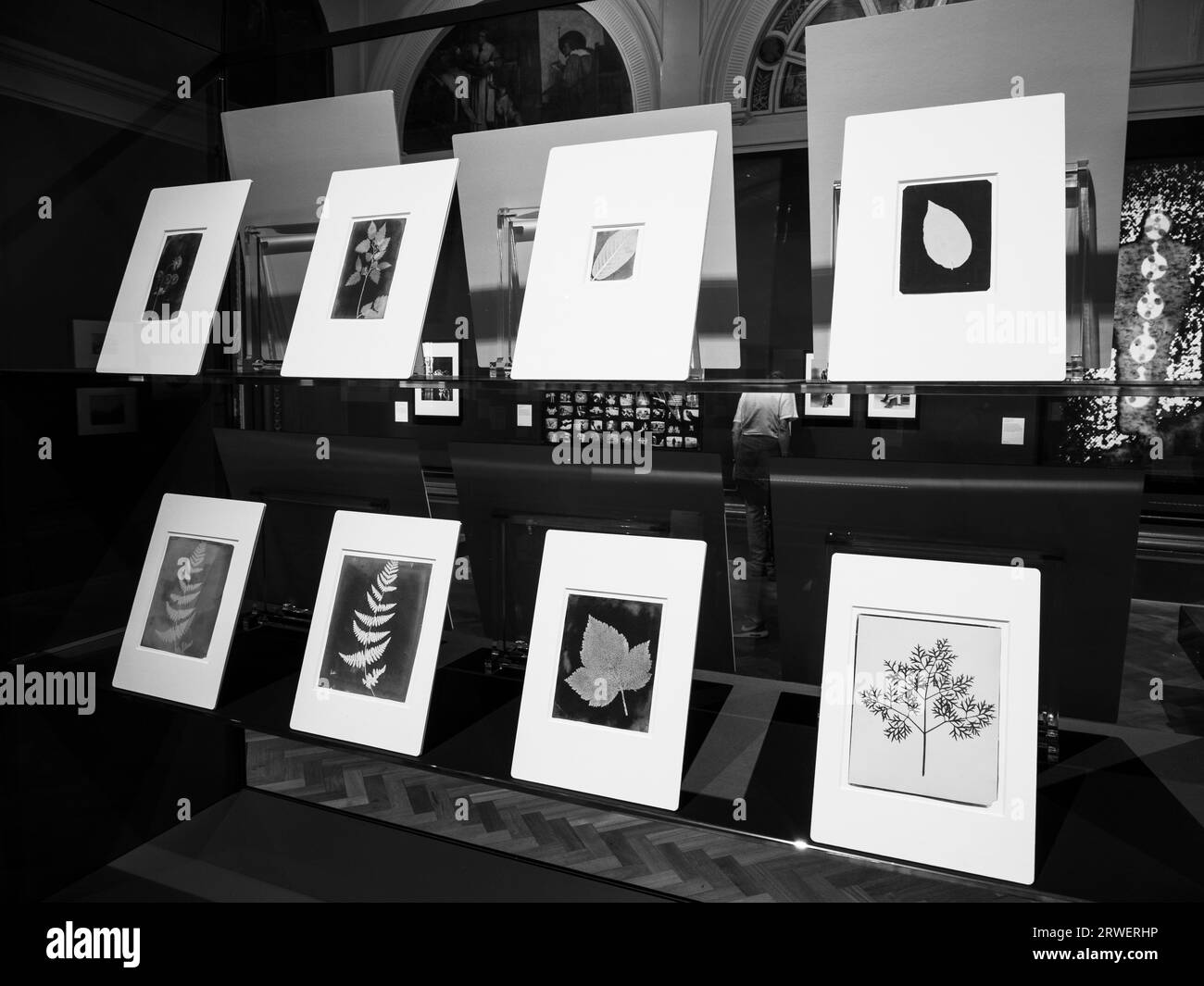 Photography Centre in the V&A Museum, World Class Collection, V&A