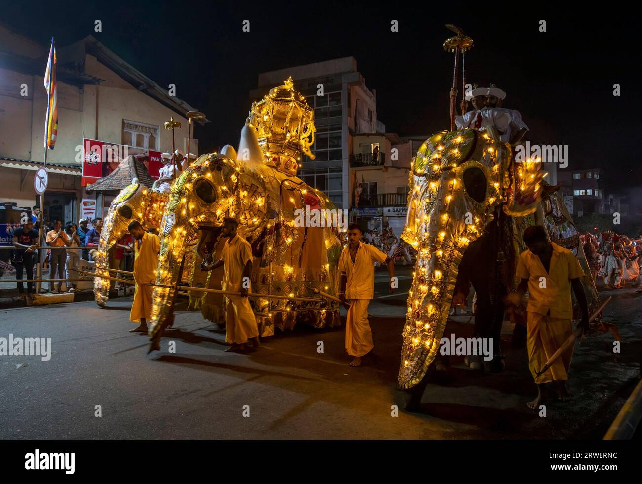 A group of ceremonial elephants parade along a street.at Kandy in Sri Lanka during the Esala Perahera (great procession). Stock Photo