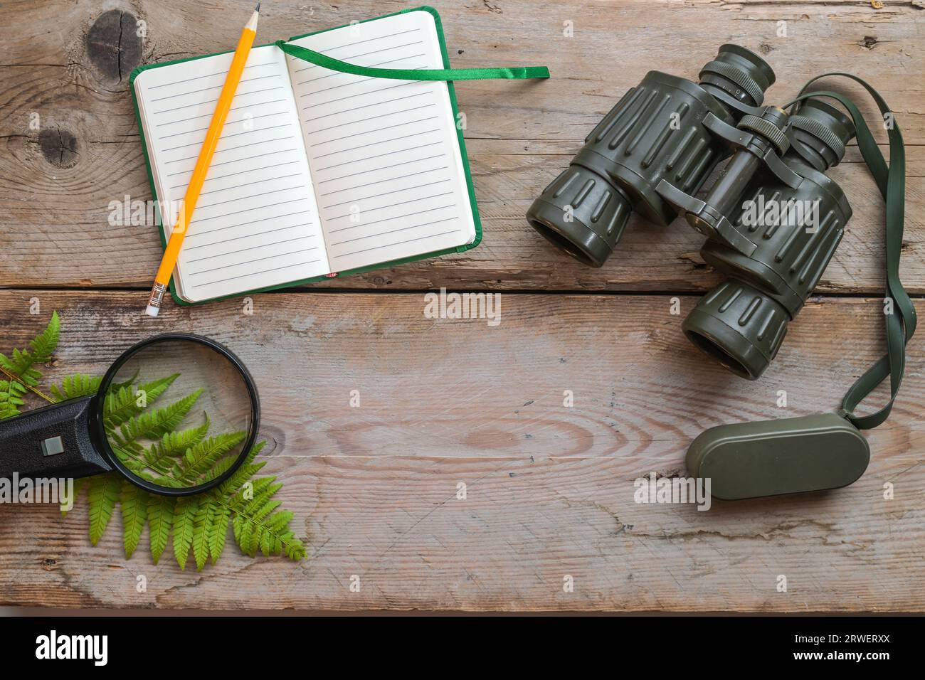 Blank notebook, binoculars, magnifying glass and a fern frond on rustic wooden planks, ecology concept for discovering nature and environment, high an Stock Photo