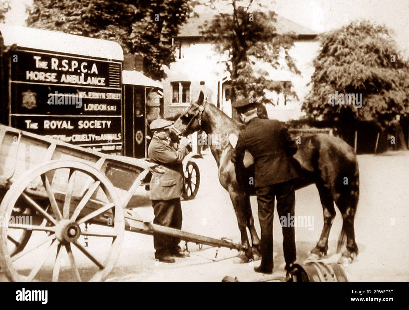 An RSPCA horse ambulance, London, Victorian period Stock Photo