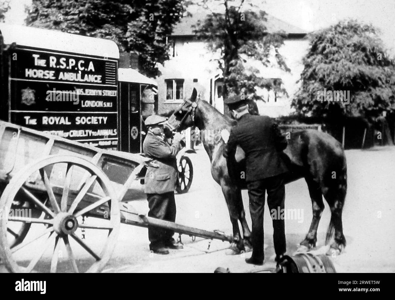 An RSPCA horse ambulance, London, Victorian period Stock Photo