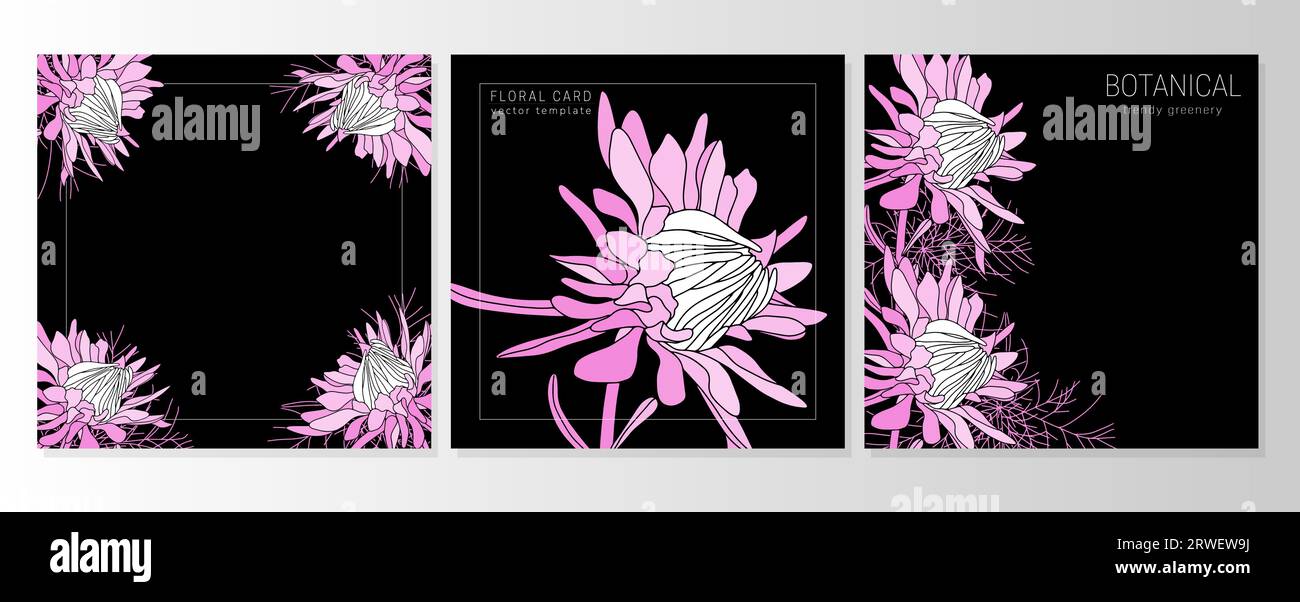 Set of greeting floral cards, botanical backgrounds, covers with fall pink asters, daisies Stock Vector